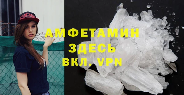 прущие грибы Кинешма