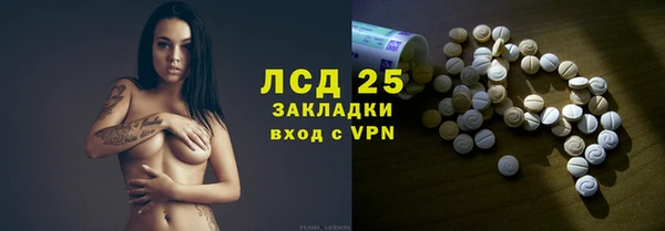 прущие грибы Кинешма