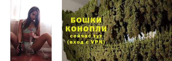 гидра Киреевск