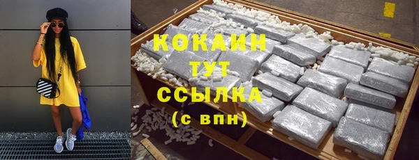 прущие грибы Кинешма