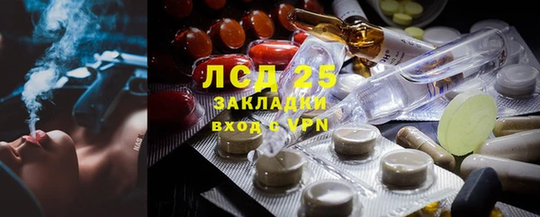 прущие грибы Кинешма