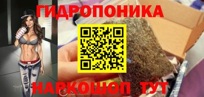 винт Гатчина