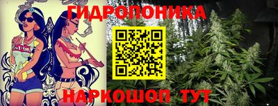 марихуана Гусиноозёрск