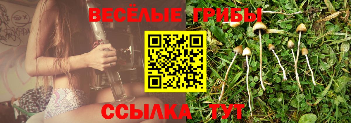 Галлюциногенные грибы мицелий  Псилоцибиновые грибы MAGIC MUSHROOMS  Жуковский 