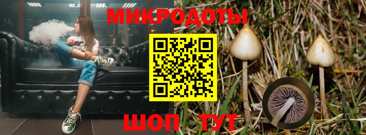 Жуковский  Галлюциногенные грибы GOLDEN TEACHER  Галлюциногенные грибы MAGIC MUSHROOMS  Вход с VPN 
