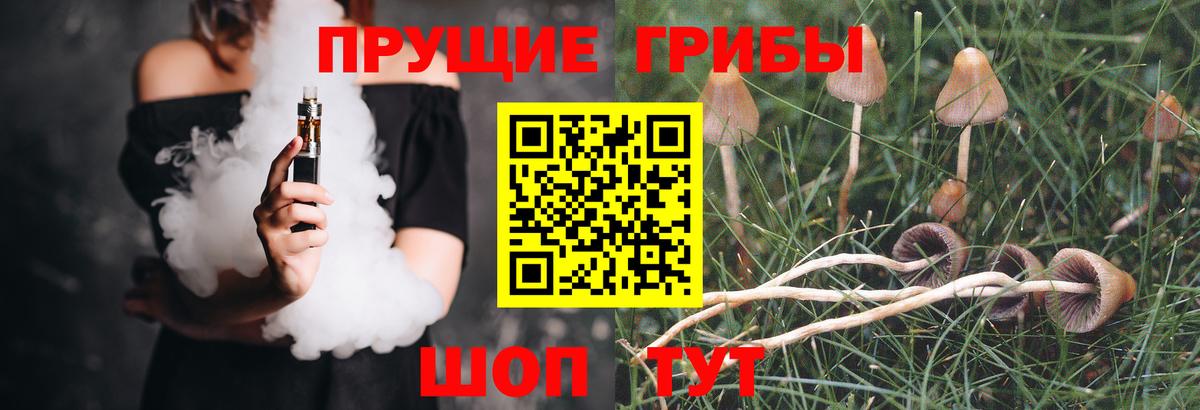 Галлюциногенные грибы GOLDEN TEACHER Жуковский