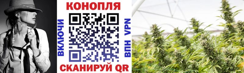 Бошки Шишки планчик  где продают наркотики  Жуковский 
